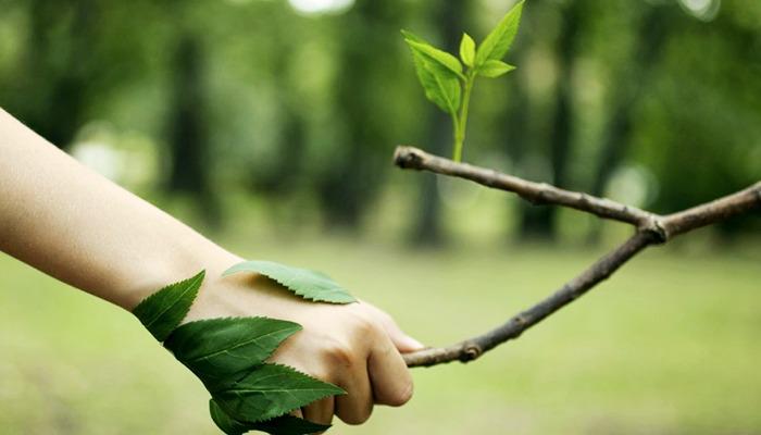 licenciamento-ambiental biointeragge